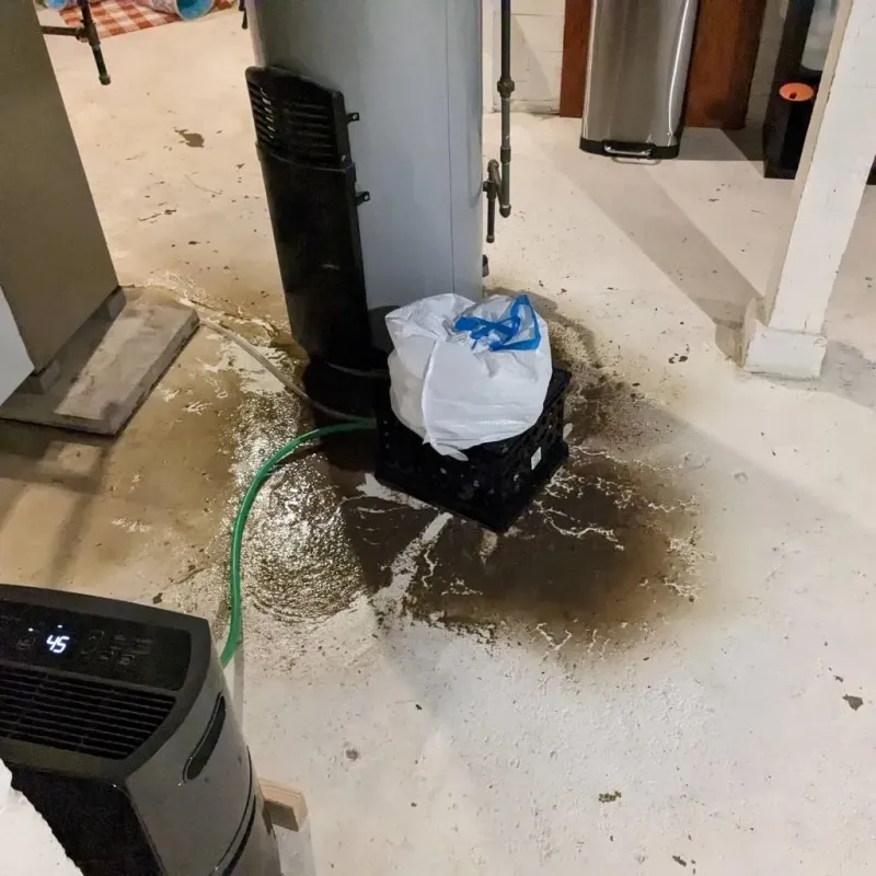 Sewage Backup Cleanup Service in Zebulon, GA